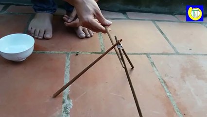 Two intuitive quizzes test you SMART