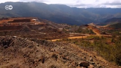 Plantas podem diminuir os estragos da mineração