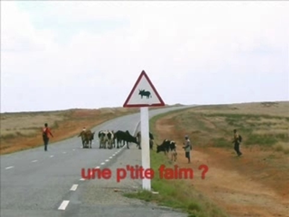 Taxy Borosy 1- Généralités