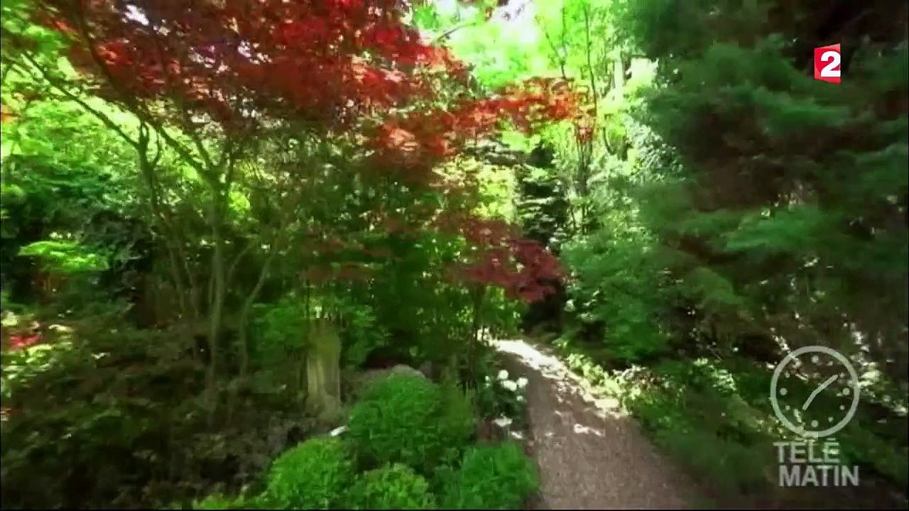 Jardin - Vos plantes en 3D