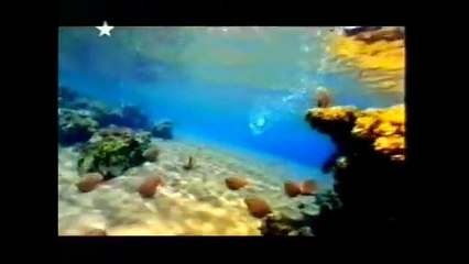 Star Reklam Kuşağı (2001)