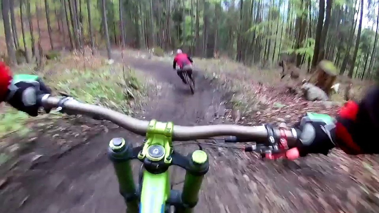 Oso persigue a ciclista aterrorizado para darle caza