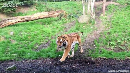 Onu sakın uyandırmayın!