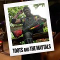 TOOTS & THE MAYTALS confirmed @ Main Stage 2017