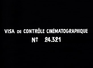 Comment naissent des méduses