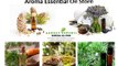 Pure Natural Essential oil Suppliers in India