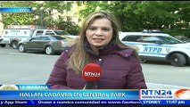 En menos de 48 horas autoridades estadounidenses encuentran dos cuerpos en Central Park