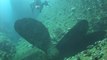 BadLads Diving - Red Sea Dive Wrecks N Reefs 2016