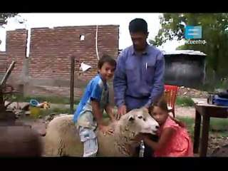 Curso de Albanileria C01 T01