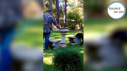 Funniest Animal Clips & Outtakes of December 2016 Weekly Compilation