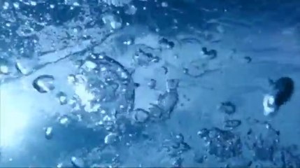 CHAGE and ASKA 『Here & There』