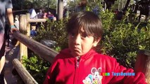 Amusement Parks for Kids Family Fun Outdoor Theme Park Disney Wor