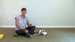 How to teach your dog his left paw from his right paw - clicker dog training-JtSe7xy0