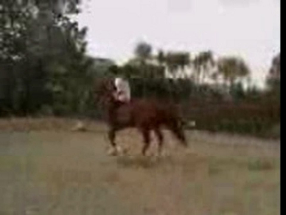 Changement de pied à moitié raté a cru