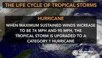 The life cycle of tropical storms