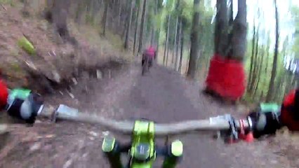 Deux cyclistes se font courser par un ours en pleine forêt