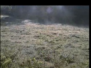 Goldfrapp - A trip to felt mountain Documentaire VO 2004