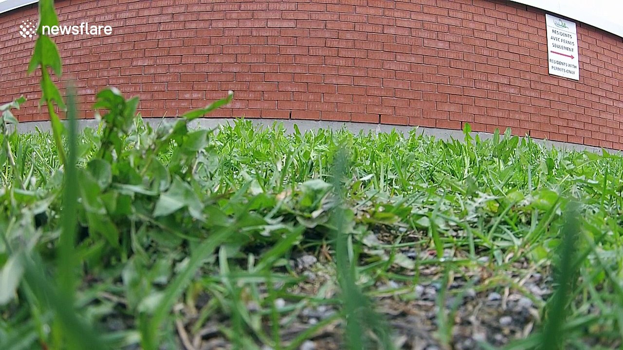 Drone footage of flooded streets in Montreal, Quebec, Canada