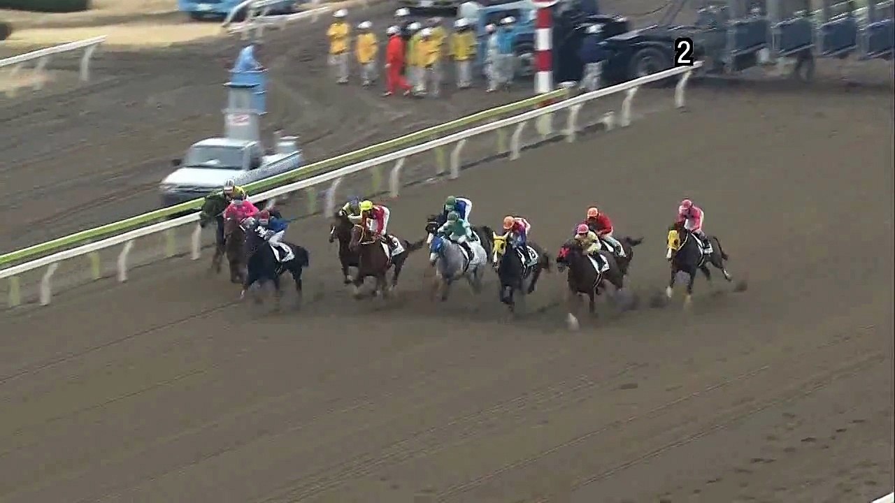 March 6 2017 Race 5