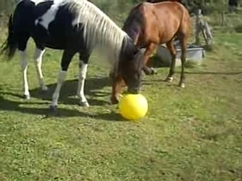 Rustine ballon