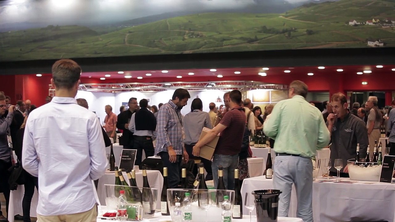 Millésimes Alsace - Teaser 2016