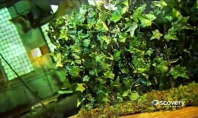 How It's Made Living Walls