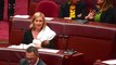 Australian Politician Becomes First Women to Breastfeed in Parliament