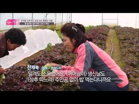 수술 전날! 엄마가 사라졌다? [엄마의 봄날] 38회 20160418
