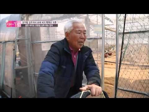 허리 아픈 엄마가 열심히 일하는 이유는? [엄마의 봄날] 38회 20160418