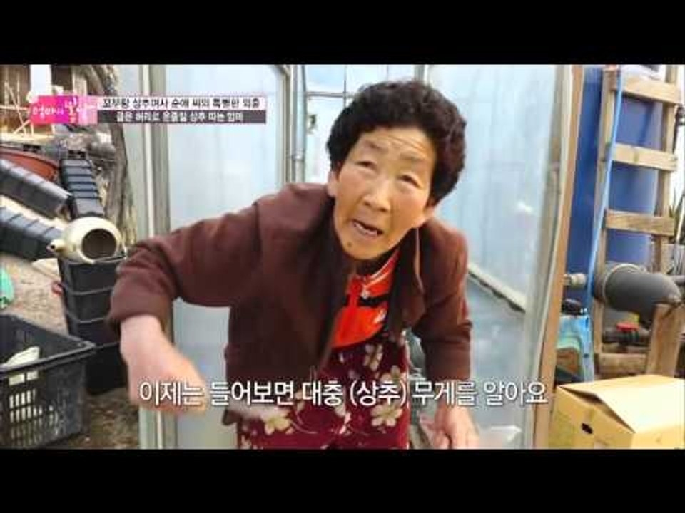 굽은 허리를 펴주는 엄마만의 비법은 춤? [엄마의 봄날] 38회 20160418