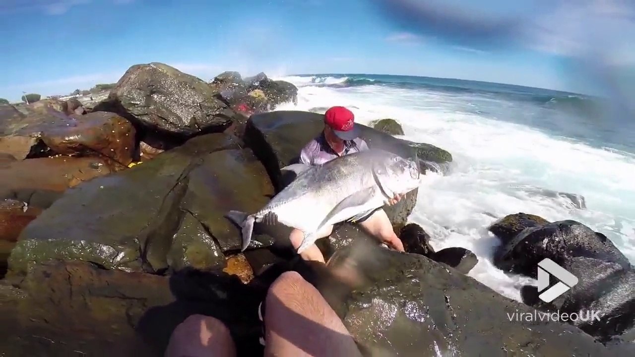 Sauvetage d'un énorme poisson échoué dans les rochers !