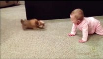 Ce bébé parle à un bébé chien.. tellement drôle !