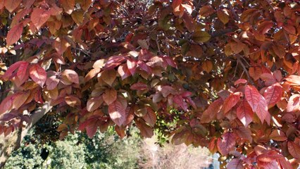 GIRO GOLOSO - TAPPA 8 - Assessore Piemontese