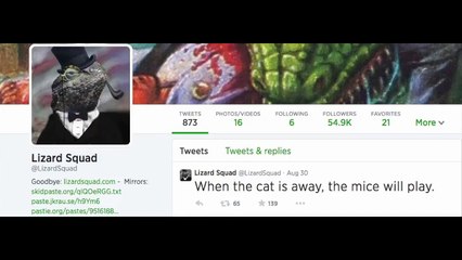 Have Lizard Squad Been Caught? + Upcoming Shout Out Video!