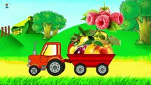 Cartoon about a tractor. Learning fruits. Developing cartoon