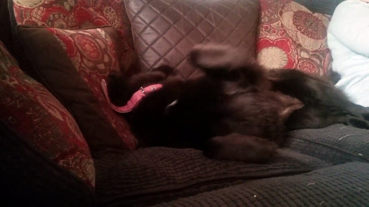 zara taking a berky