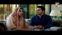 Sangsar Episode 28 Full HD HUM TV Drama 10 May 2017