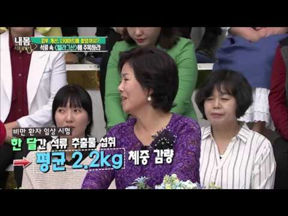 석류속 '엘라그산' 피부 탄력과 항암 효과! [내 몸 사용 설명서] 98회 20160415