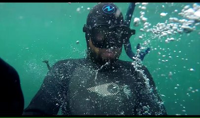 20 miles lieues sous Ré