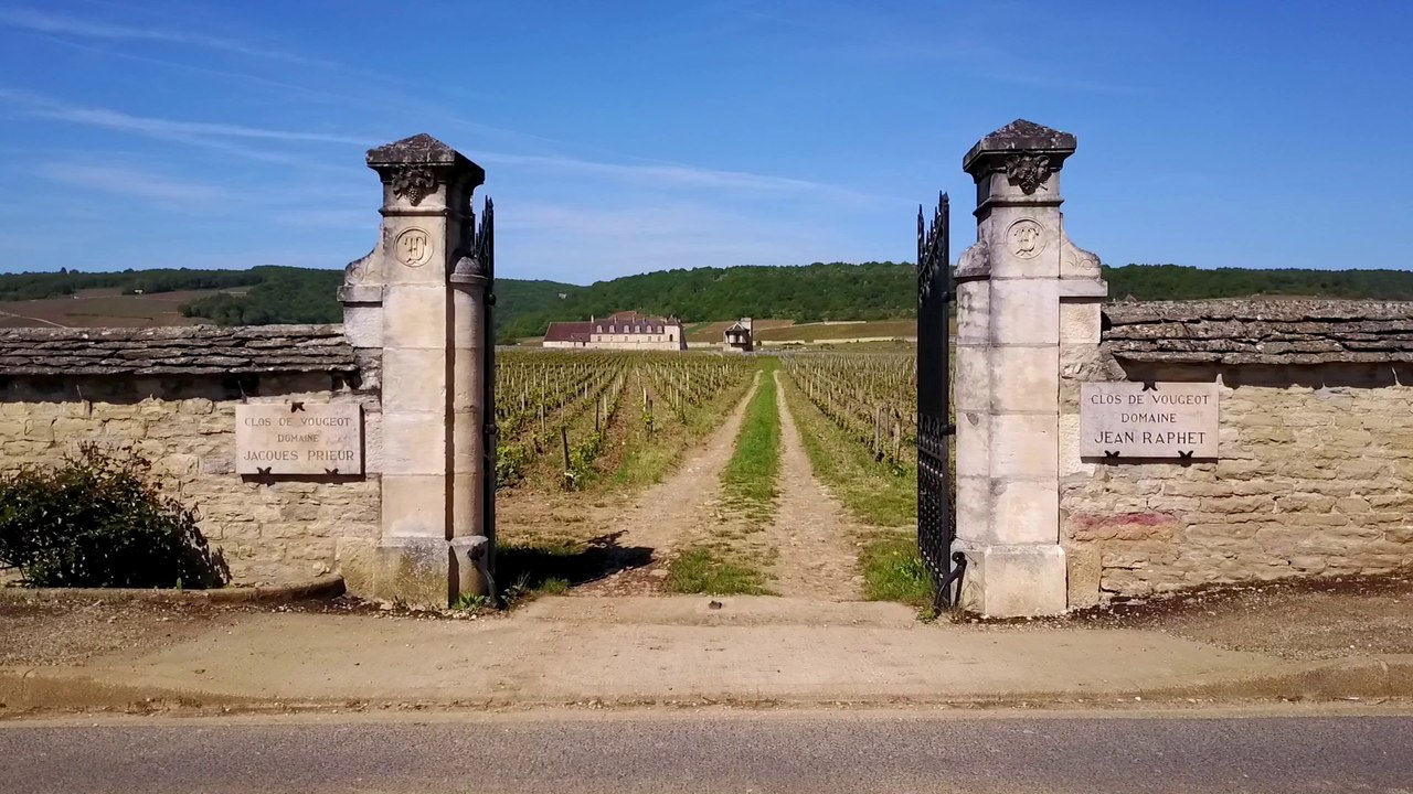 Clos de Vougeot - Côte d'Or - France