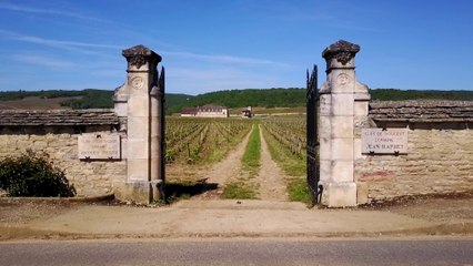 Clos de Vougeot - Côte d'Or - France