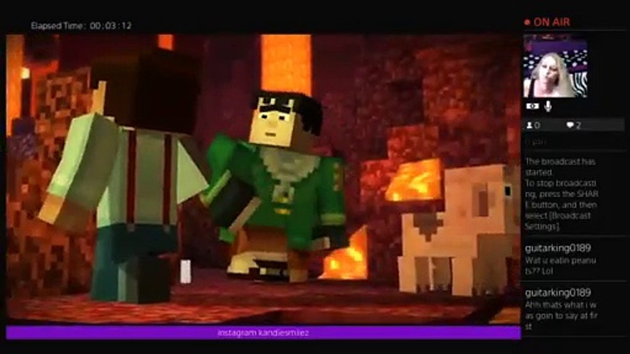 Minecraft with purplekandie (219)