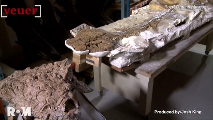 A New Dinosaur Looked a Lot Like a Character From Ghostbusters