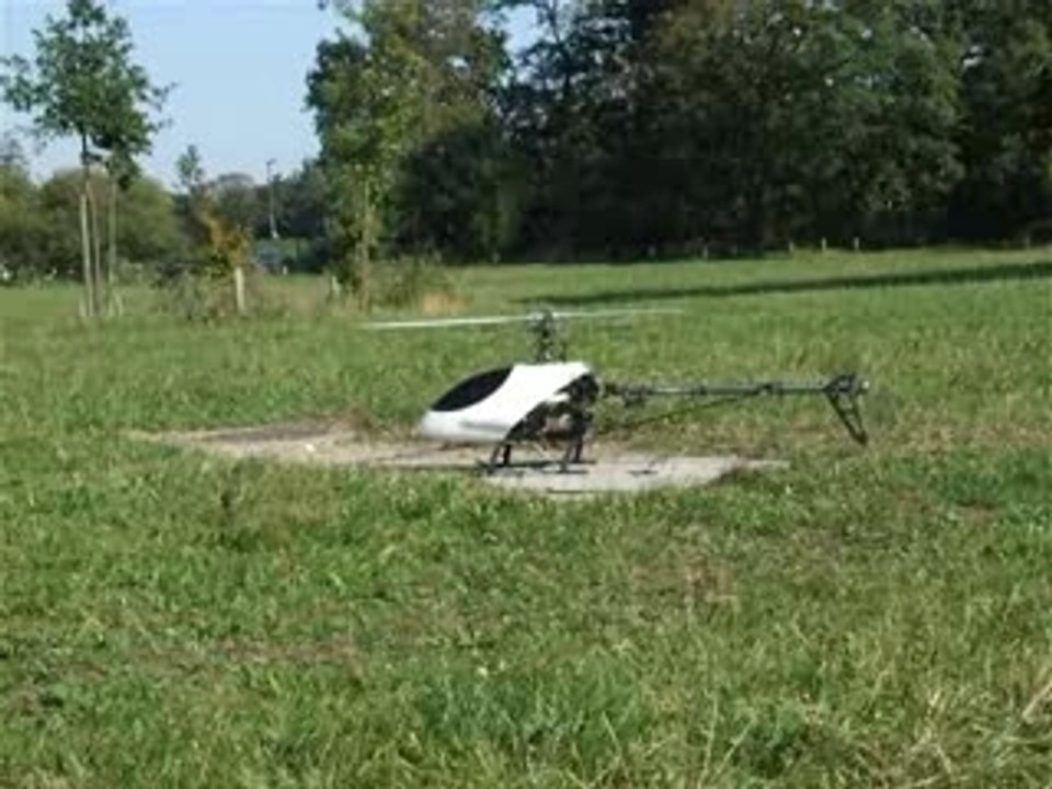 T-rex vol par beau temps