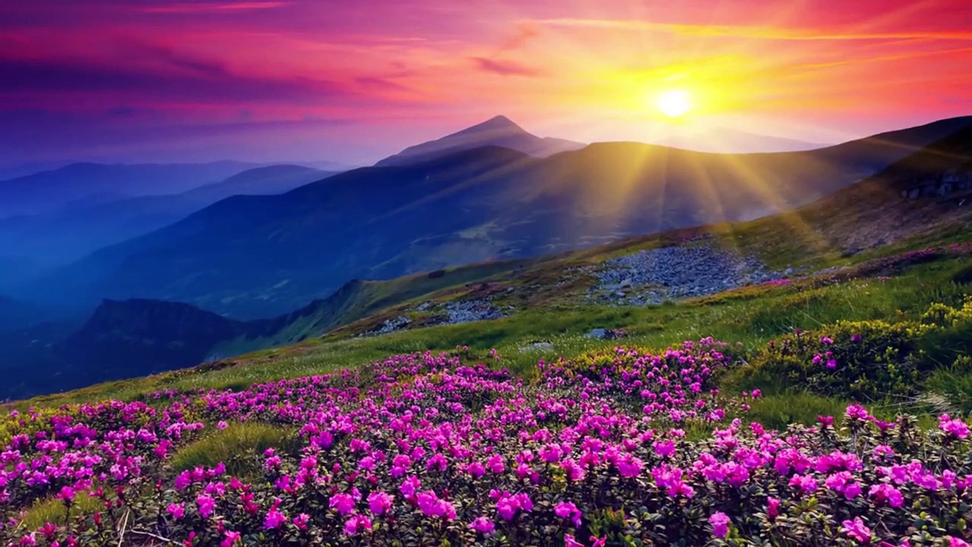 Beautiful Romantic Music: Relaxing Music, Guitar Music, Violin Music, Cello Music, Piano Music ★103 