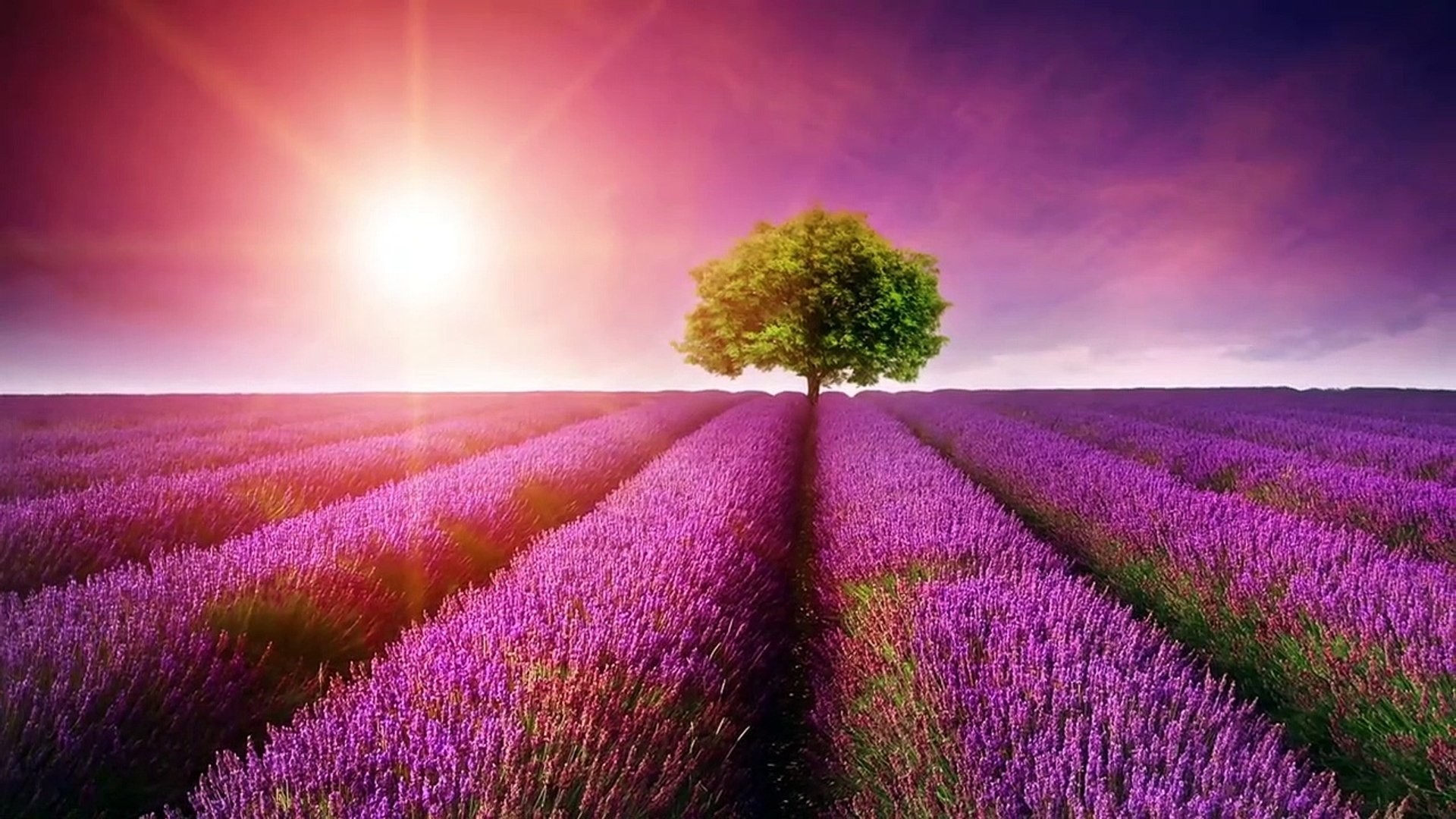 Beautiful Romantic Music: Relaxing Music, Guitar Music, Violin Music, Cello Music, Piano Music ★103 