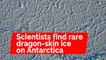 Scientists capture footage of rare 'dragon-skin' ice on Antarctic expedition