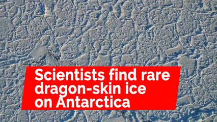 Scientists capture footage of rare 'dragon-skin' ice on Antarctic expedition