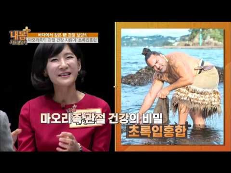 관절염에 직방! '초록입홍합' [내 몸 사용설명서 플러스] 1회 20160410
