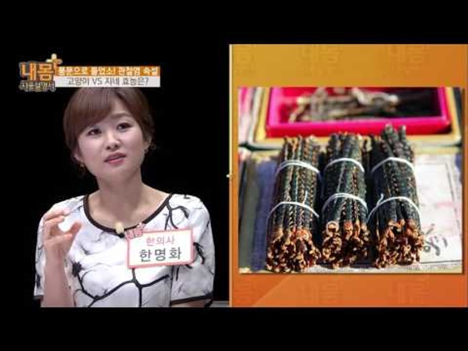 고양이와 지네가 관절염에 도움이 된다? [내 몸 사용설명서 플러스] 1회 20160410